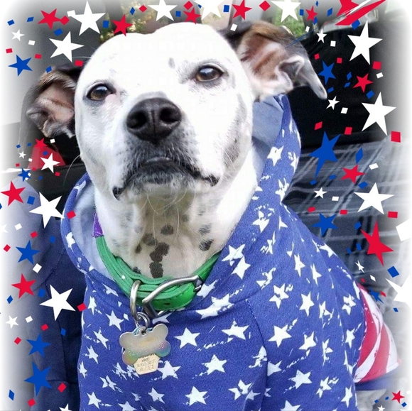 Meet your Posher, Tiff - Picture 4 of 16